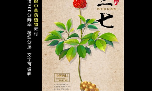 三七和山楂一起吃能降血压吗
